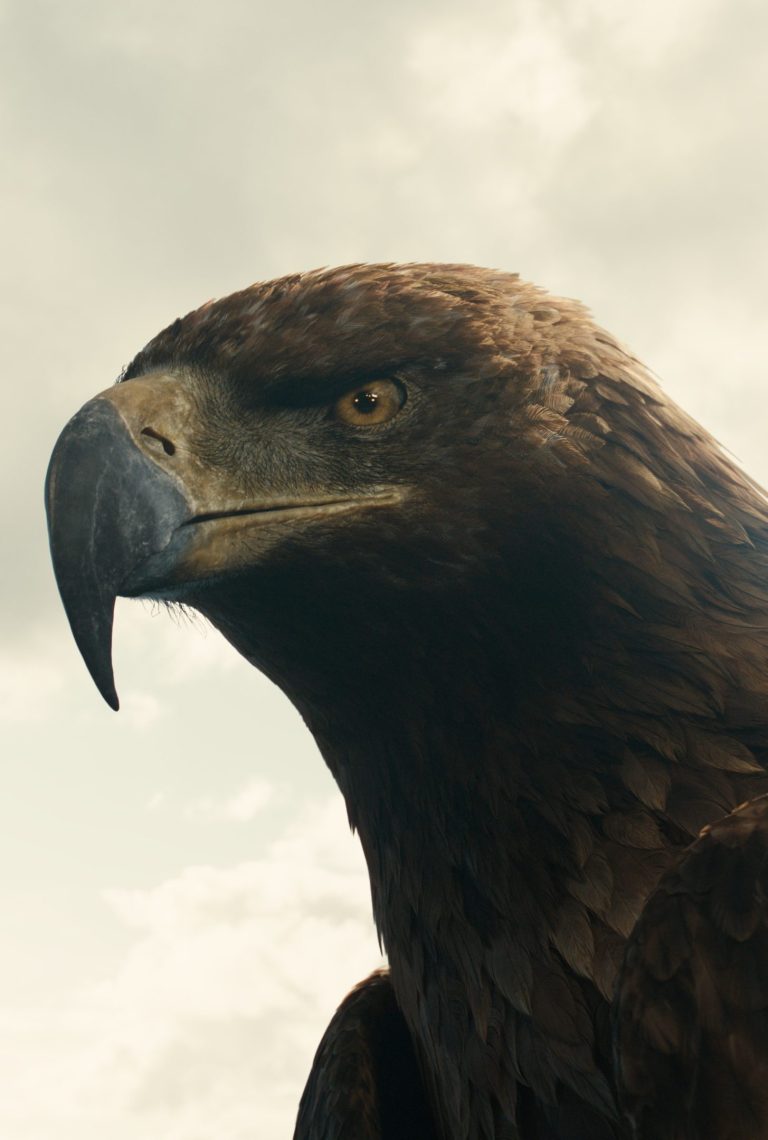 The Lord of the Rings: Rings of Power Season 2